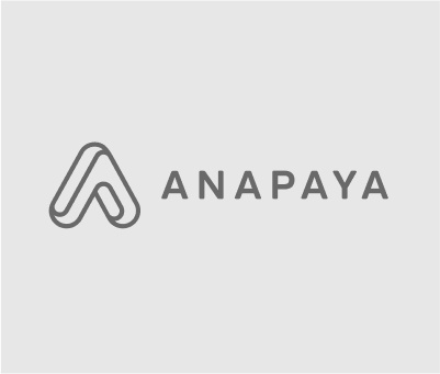 Anapaya – SCION